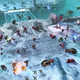 Illustration for article titled What Halo Wars Means to Ensemble